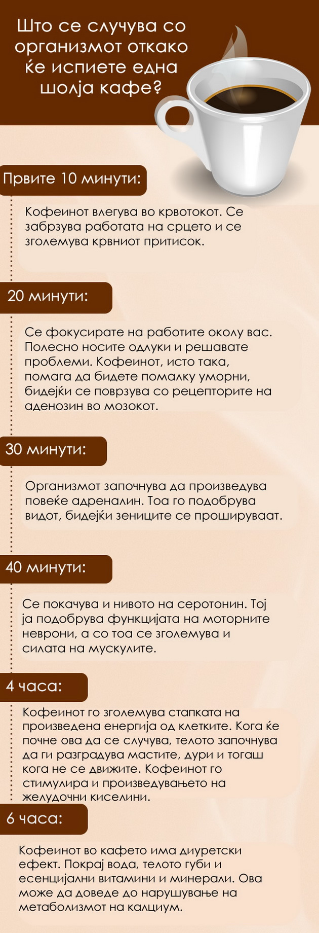 kako-edna-sholja-kafe-vlijae-na-nashiot-organizam-0001.jpg