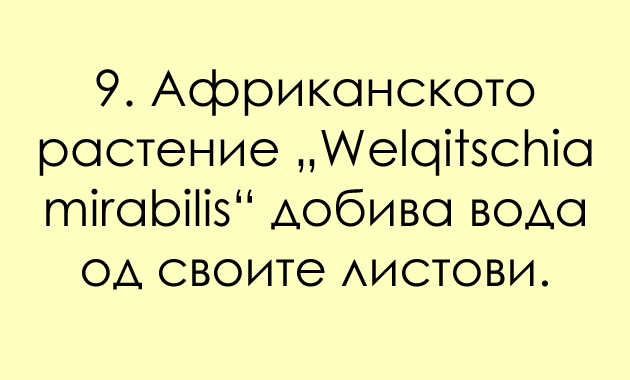 mitovi-za-zemjata-koi-pogreshno-gi-naucivme-na-ucilishte-20_copy.jpg