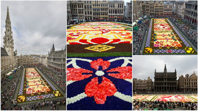 vo-belgija-se-posla-tepih-od-600-000-prirodni-cvetovi-foto-001.jpg