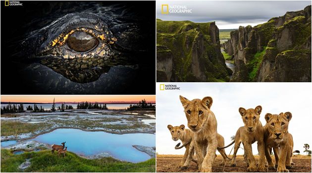 Ljubiteli-na-prirodata-go-trgaat-prevezot-na-ubavinata-okolu-nas-vo-ocekuvanje-na-glavnata-nagrada-za-fotka-na-godinata-na-National-Geographic-01.jpg