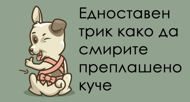 kako-da-smirite-preplasheno-kuce-01.jpg