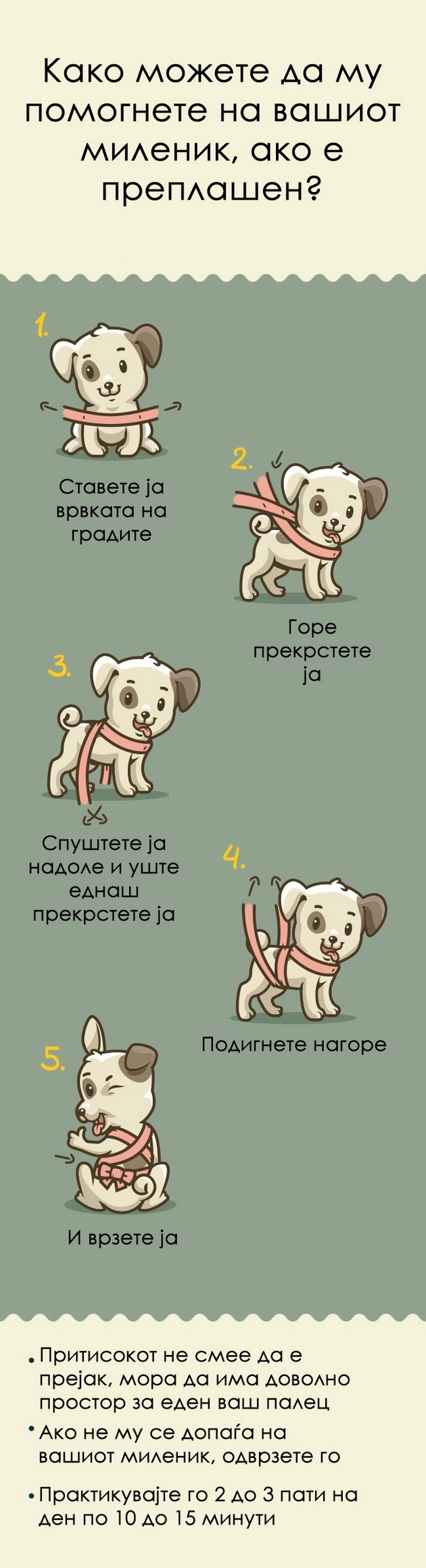 kako-da-smirite-preplasheno-kuce-1.jpg
