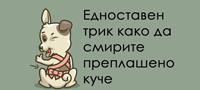 kako-da-smirite-preplasheno-kuce-Povekje.jpg