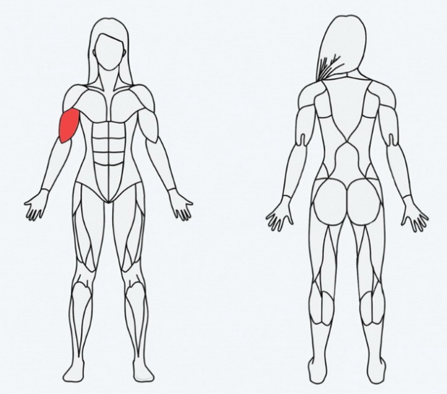 kako-najlesno-da-odberete-trening-spored-toa-koi-muskuli-sakate-da-gi-stegnete-2.jpg