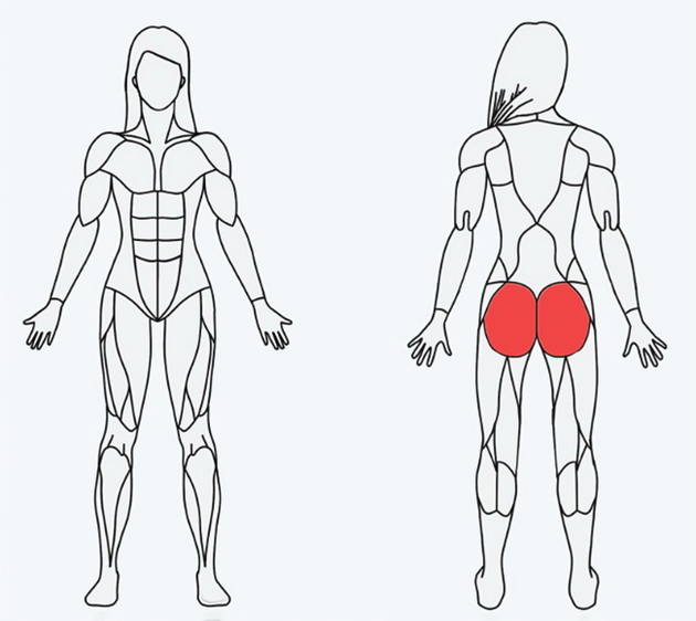 kako-najlesno-da-odberete-trening-spored-toa-koi-muskuli-sakate-da-gi-stegnete-3.jpg