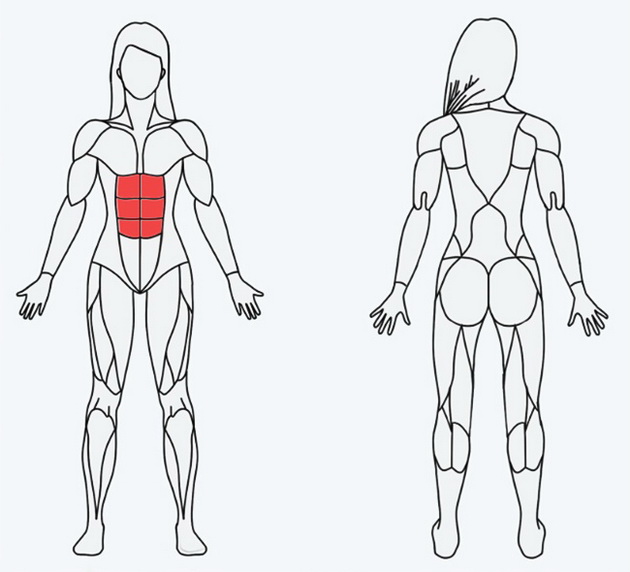 kako-najlesno-da-odberete-trening-spored-toa-koi-muskuli-sakate-da-gi-stegnete-4.jpg