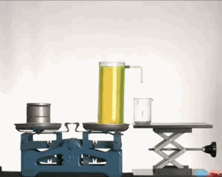 zabavni-animacii-zaradi-koi-kje-ja-zasakate-naukata-02_copy.gif
