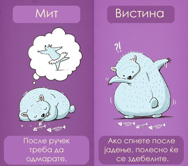 12-raboti-za-koi-mislime-deka-se-pravilni-a-vsushnost-se-mitovi-07.jpg