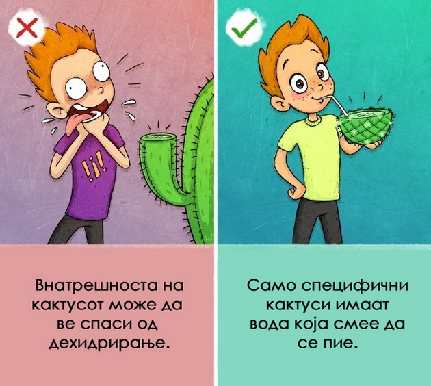 9-soveti-za-prezivuvanje-koi-se-pogresni-i-moze-samo-da-ve-povredat-4.jpg