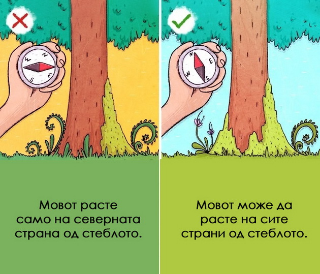 9-soveti-za-prezivuvanje-koi-se-pogresni-i-moze-samo-da-ve-povredat-7.jpg