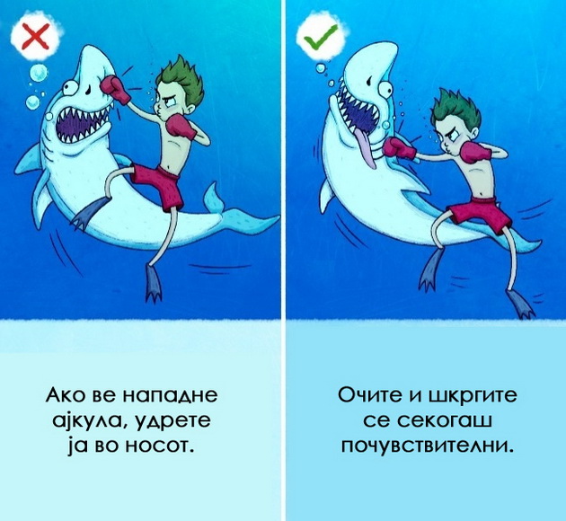 9-soveti-za-prezivuvanje-koi-se-pogresni-i-moze-samo-da-ve-povredat-9.jpg