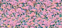 Kje-uspeete-li-da-ja-najdete-balerinata-vo-jatoto-flaminga-01-povekje