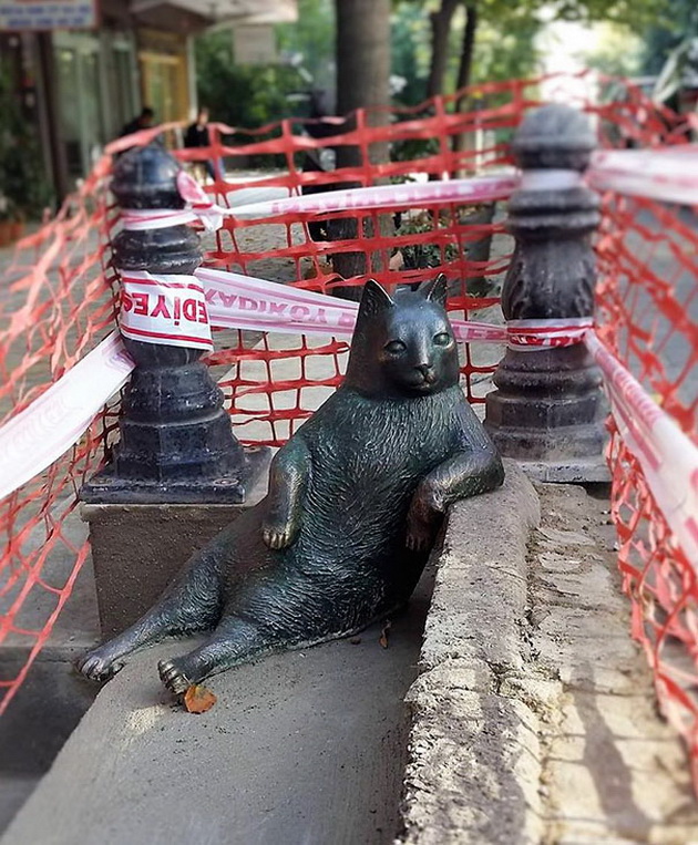 najpoznatiot-macor-od-istanbul-dobi-svoja-statua-na-omilenoto-mesto-3.jpg