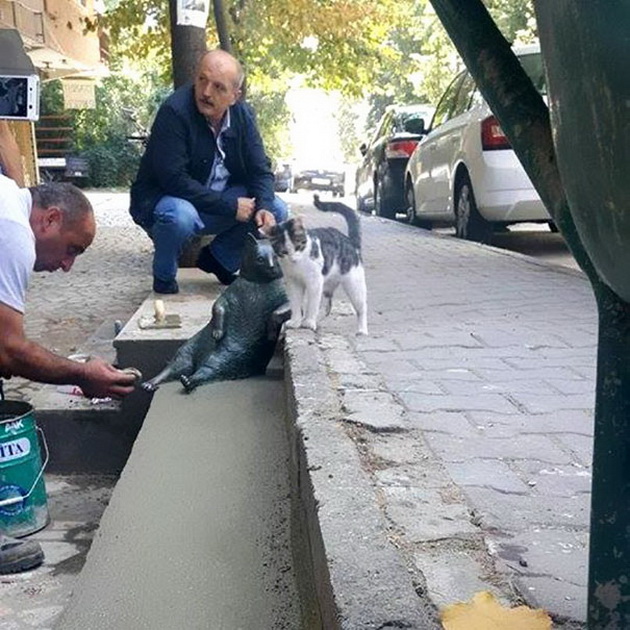 najpoznatiot-macor-od-istanbul-dobi-svoja-statua-na-omilenoto-mesto-6.jpg