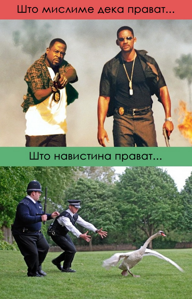 shto-mislime-deka-pravat-vs-shto-navistina-pravat-novinarite-doktorite-8.jpg
