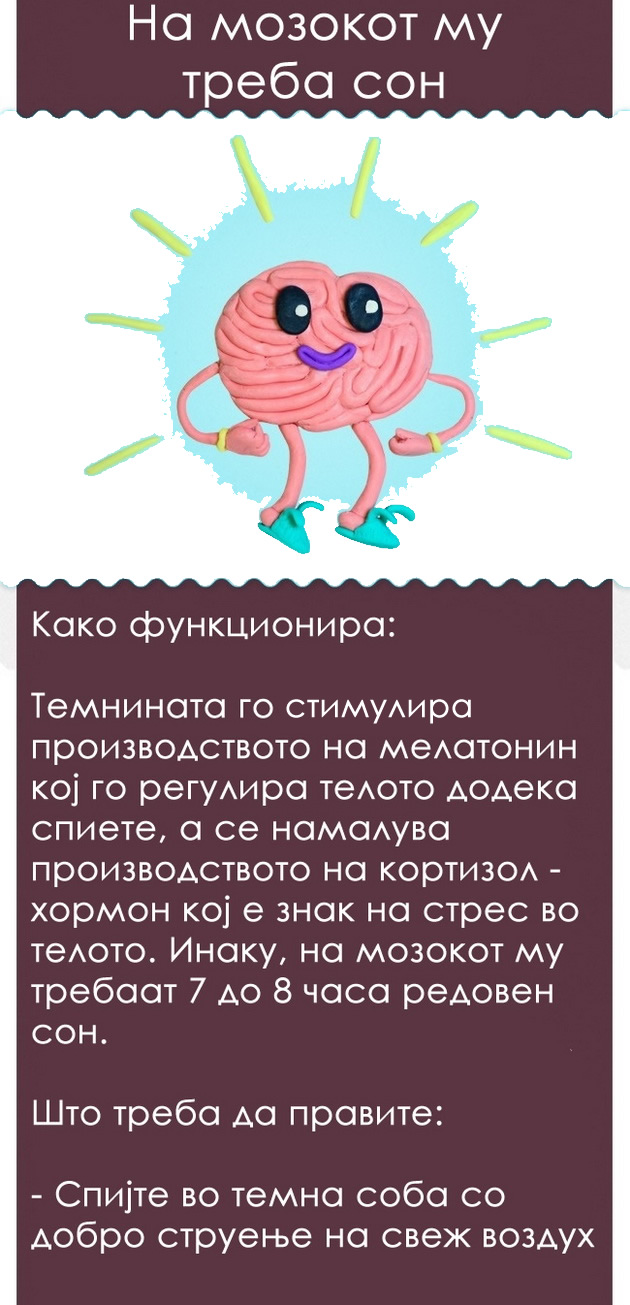15-dokazani-nacini-kako-da-ja-zgolemite-mokjta-na-mozokot-04.jpg