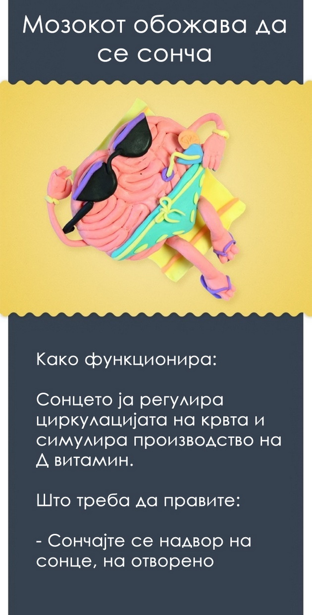 15-dokazani-nacini-kako-da-ja-zgolemite-mokjta-na-mozokot-14.jpg