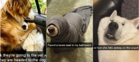 15-fotki-od-kucinja-na-snapchat-koi-slatko-kje-ve-nasmeat-01 copy-povekje