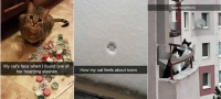 25-fotografii-od-macki-na-snapchat-koi-slatko-kje-ve-nasmeat-01 copy-povekje