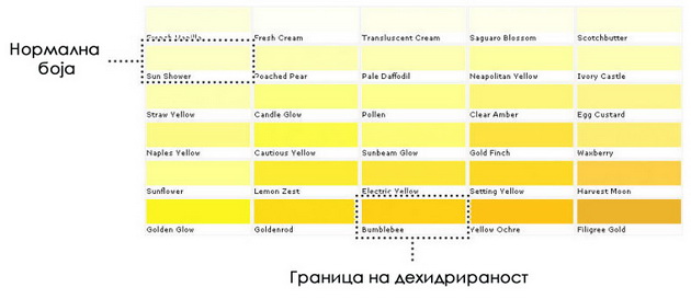 tabela-kolku-pati-vo-denot-e-normalno-da-mokrite-koja-boja-e-normalna-1.jpg