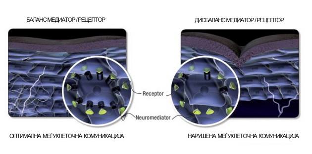 nevrokozmetika-pametna-kozmetika-na-noviot-vek-3.jpg