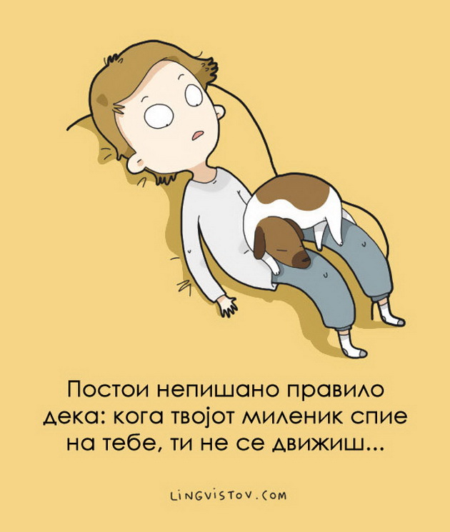 10-te-najsmeshni-ilustracii-za-zivotnite-5.jpg