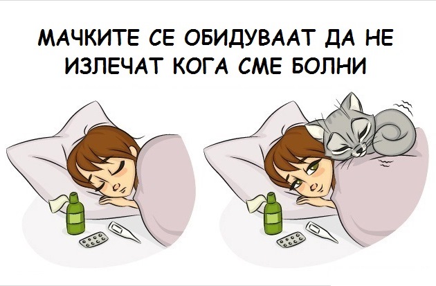 9-prichini-zoshto-ca-chuvate-machka-10.jpg