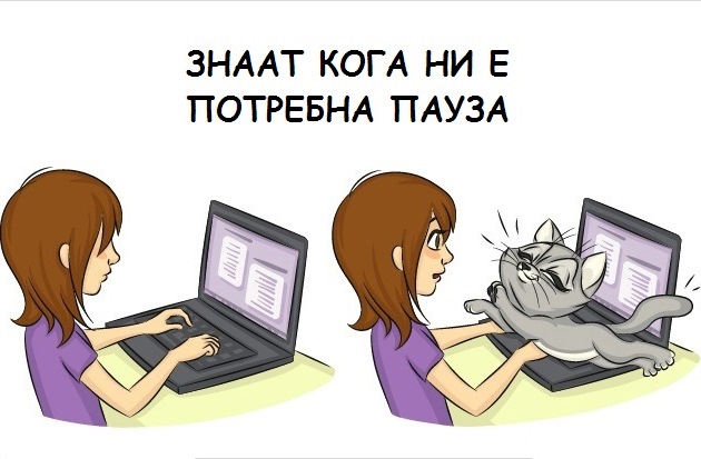 9-prichini-zoshto-ca-chuvate-machka-3.jpg