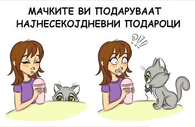 9-prichini-zoshto-ca-chuvate-machka-4.jpg