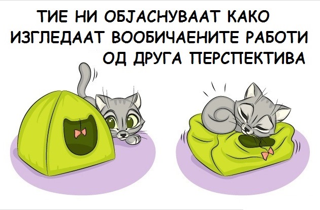 9-prichini-zoshto-ca-chuvate-machka-6.jpg