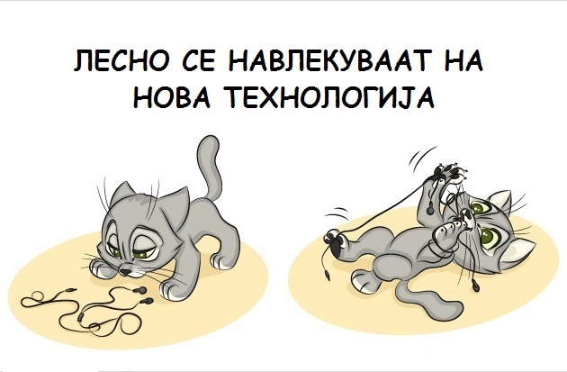 9-prichini-zoshto-ca-chuvate-machka-7.jpg