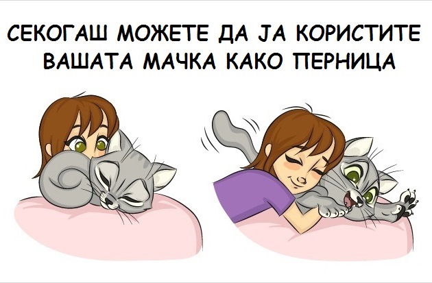 9-prichini-zoshto-ca-chuvate-machka-8.jpg