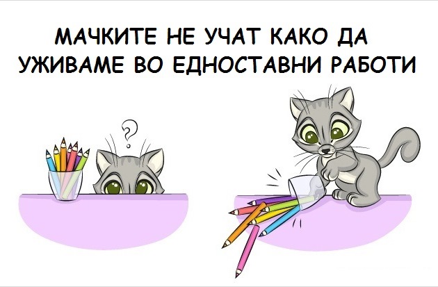 9-prichini-zoshto-ca-chuvate-machka-9.jpg