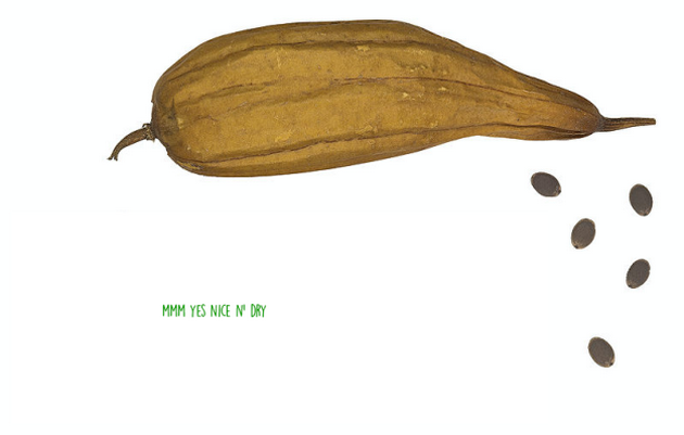 denes-ucime-od-kade-doagja-lufata-za-kapenje-3.png