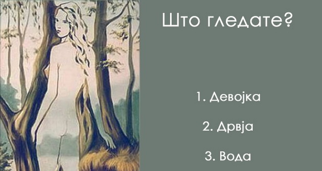 odgovarajte-bez-mnogu-mislenje-sto-ima-na-slikata-001.jpg