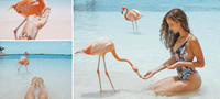 plazha-na-koja-mozhe-da-galite-flaminga-foto-povekje_copy.jpg