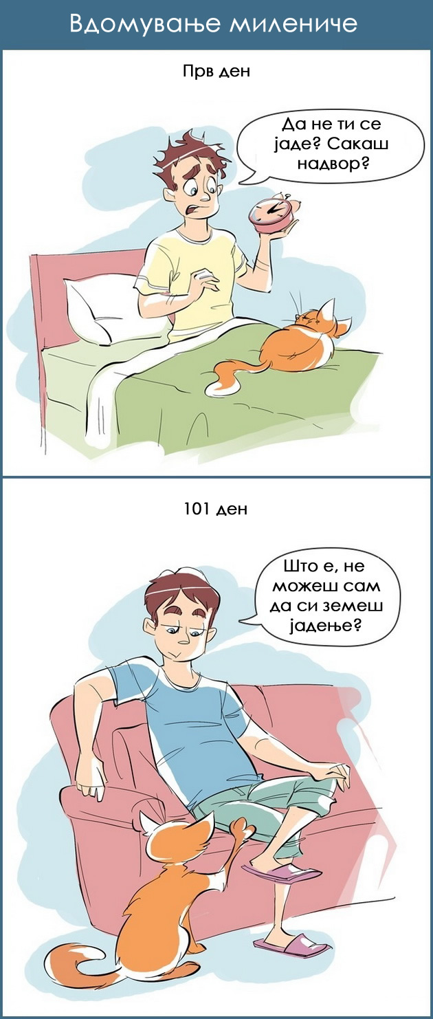 komicni-ilustracii-kako-se-odnesuvame-kon-rabotite-na-prviot-i-101-ot-den-7.jpg
