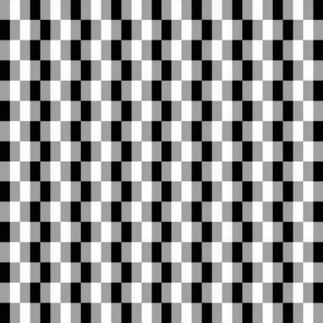 10-opticki-iluzii-koi-kje-si-poigraat-so-vashiot-um-2.jpg
