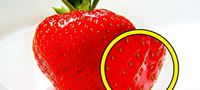 5-razliki-pomegu-vkusnite-i-plasticnite-jagotki-povekje.jpg