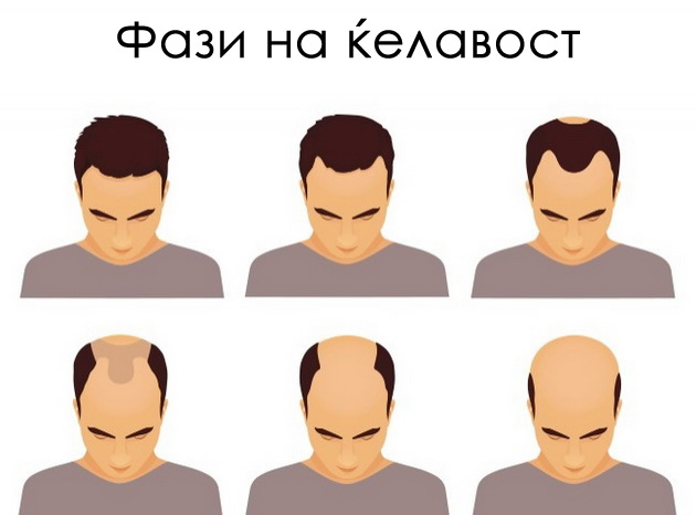 8-fakti-za-maskoto-telo-koi-ne-ste-gi-znaele-04.jpg