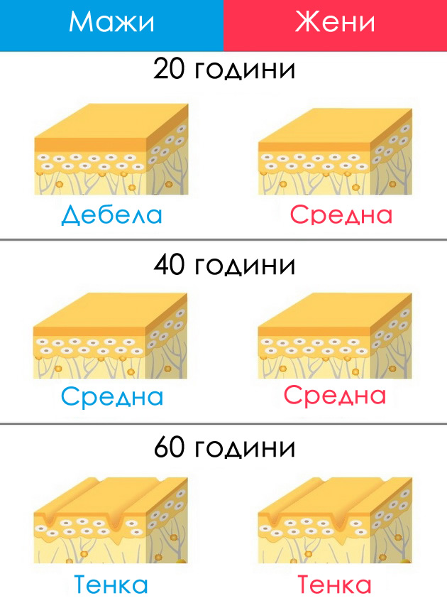 8-fakti-za-maskoto-telo-koi-ne-ste-gi-znaele-07.jpg