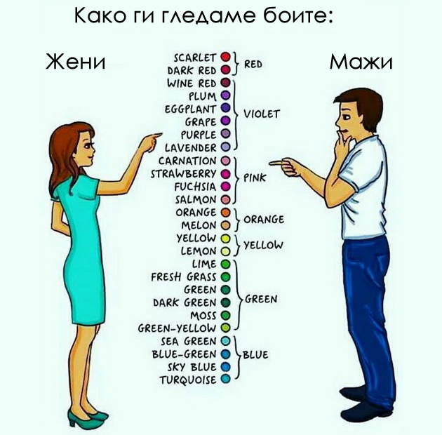 8-fakti-za-maskoto-telo-koi-ne-ste-gi-znaele-09.jpeg