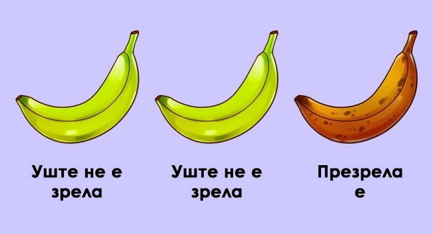 ironicni-vistini-za-toa-kako-funkcioniraat-rabotite-vo-zivotot-01.jpg