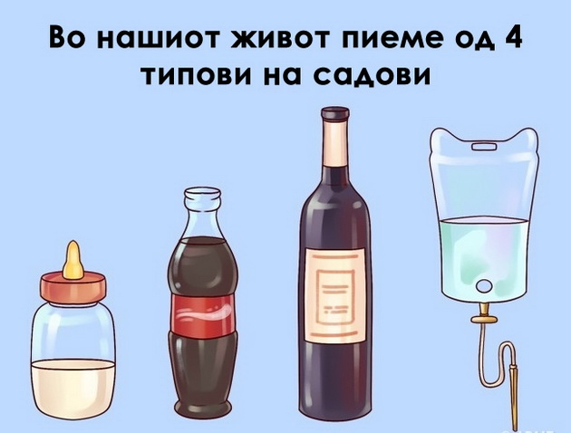 ironicni-vistini-za-toa-kako-funkcioniraat-rabotite-vo-zivotot-1.jpg