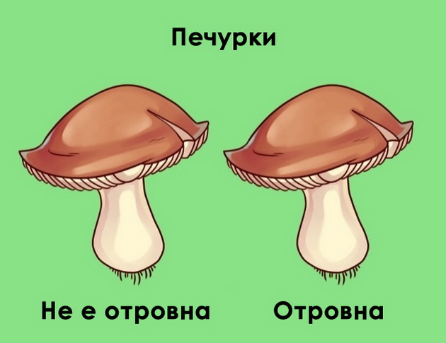 ironicni-vistini-za-toa-kako-funkcioniraat-rabotite-vo-zivotot-10.jpg
