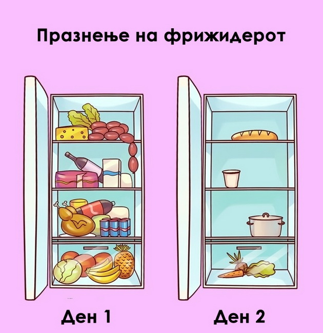 ironicni-vistini-za-toa-kako-funkcioniraat-rabotite-vo-zivotot-11.jpg