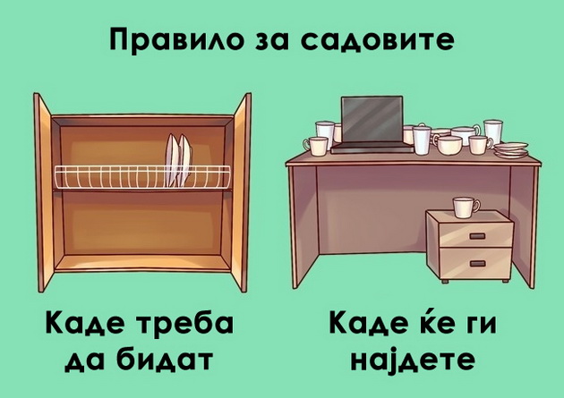 ironicni-vistini-za-toa-kako-funkcioniraat-rabotite-vo-zivotot-2.jpg