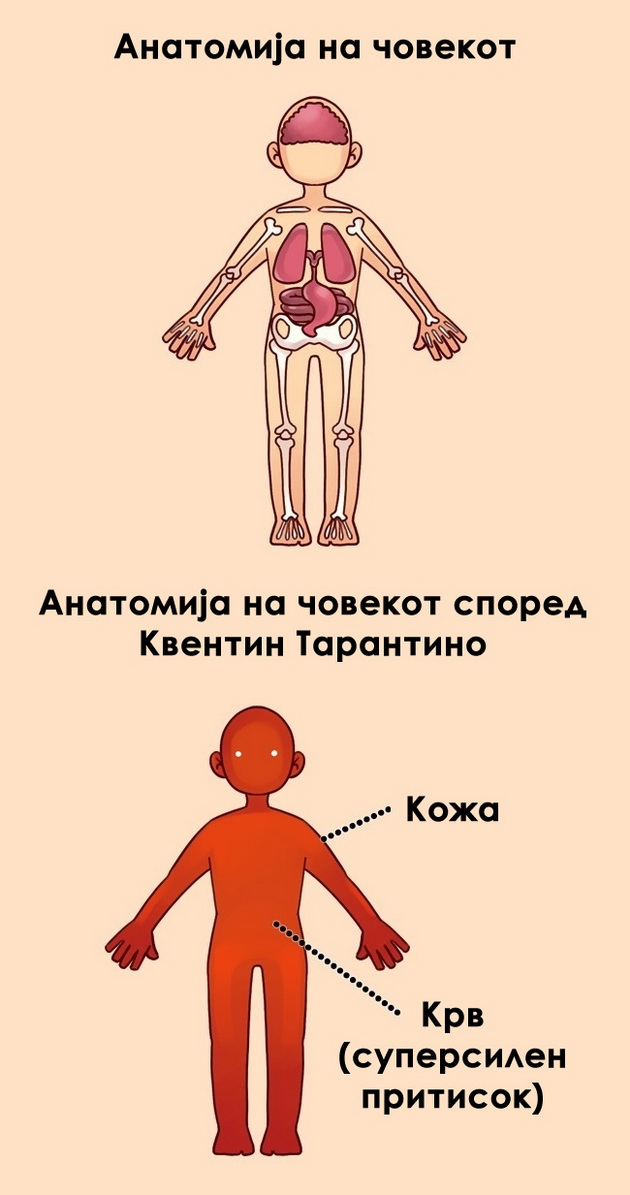 ironicni-vistini-za-toa-kako-funkcioniraat-rabotite-vo-zivotot-3.jpg