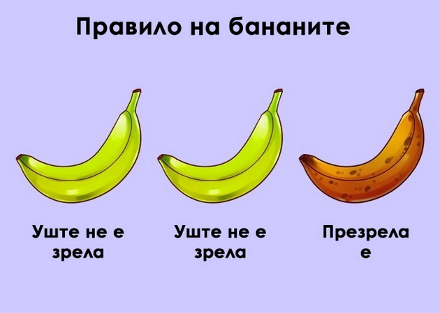 ironicni-vistini-za-toa-kako-funkcioniraat-rabotite-vo-zivotot-5.jpg
