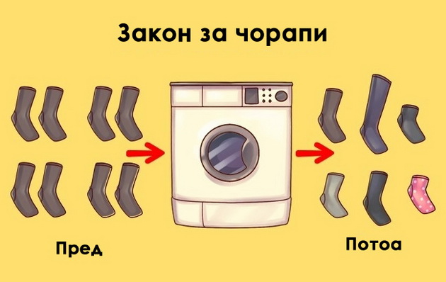 ironicni-vistini-za-toa-kako-funkcioniraat-rabotite-vo-zivotot-7.jpg
